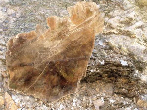 云母含鐵愈高時，顏色愈深，同時多色性和吸收性增強